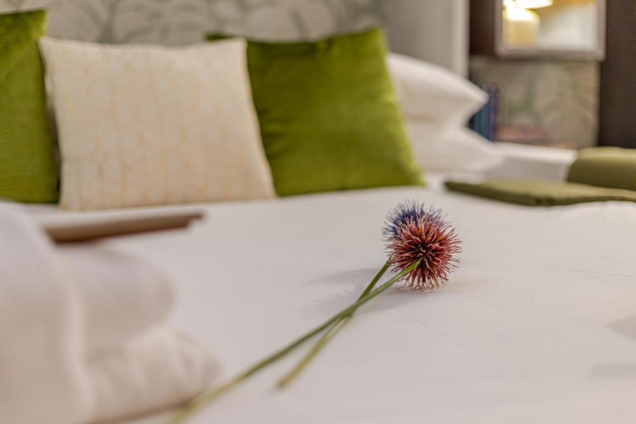 Green Terrace Loft Colosseum Roma Ngoại thất bức ảnh